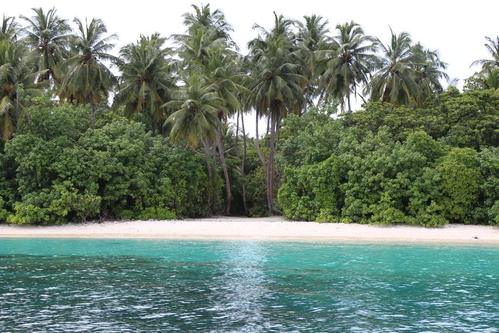 Feridhoo 费瑞德胡旅馆酒店 外观 照片