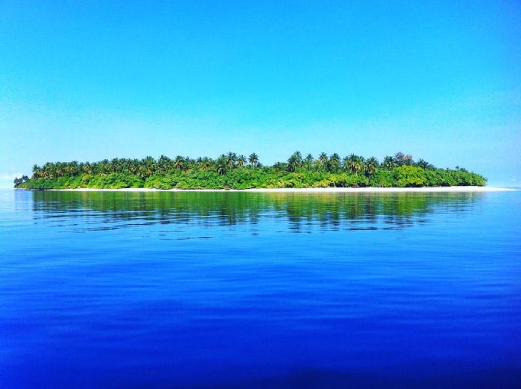Feridhoo 费瑞德胡旅馆酒店 外观 照片