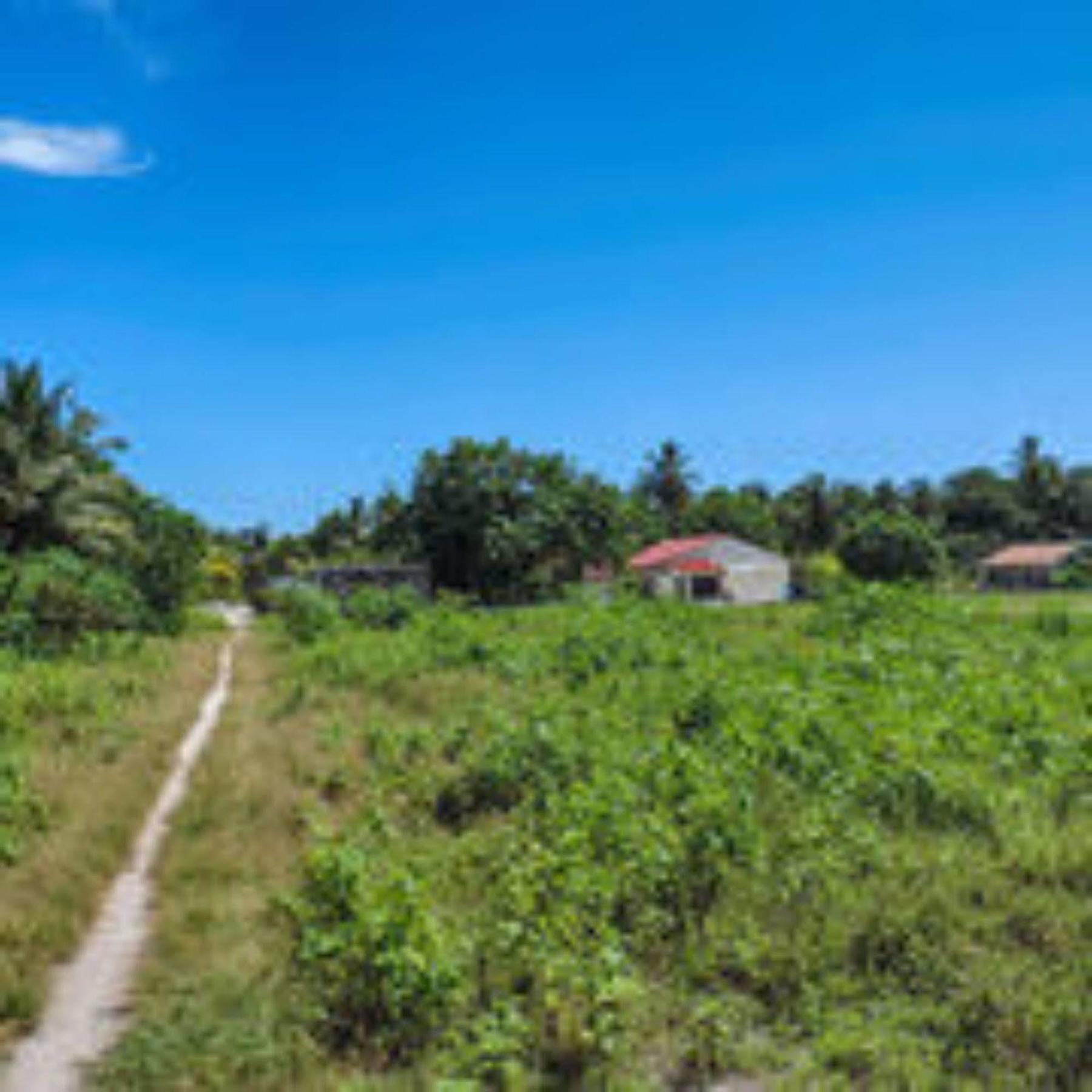 Feridhoo 费瑞德胡旅馆酒店 外观 照片